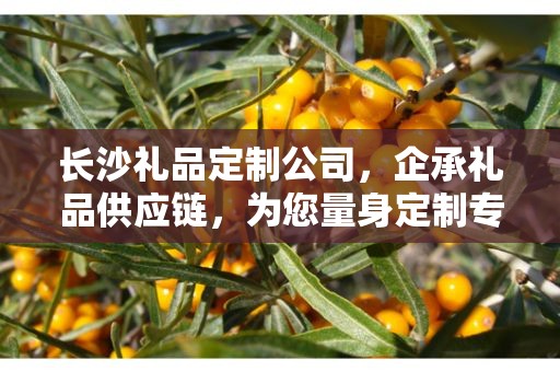 长沙礼品定制公司，企承礼品供应链，为您量身定制专属礼品